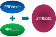 Synbiotic supplementation in nonalcoholic fatty liver disease: A randomised, double-blind, placebo-controlled pilot study