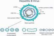 Global prevalence, treatment, and prevention of hepatitis B virus infection in 2016: a modelling study